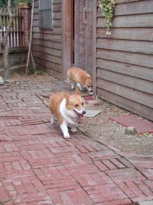 1380945943-2025818953