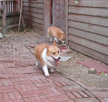 1380945943-2025818953