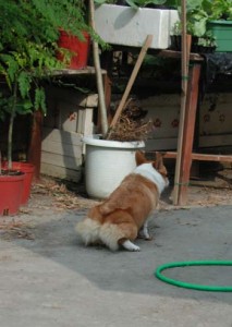 1380945943-3751059978