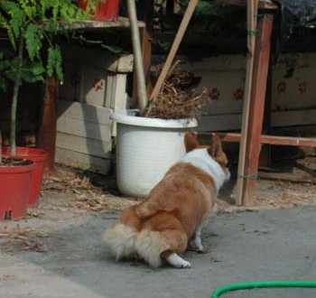 1380945943-3751059978