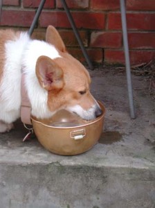 1380945944-1909013912