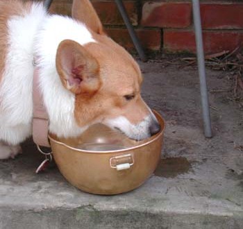 1380945944-1909013912