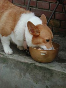 1380945944-3262173820