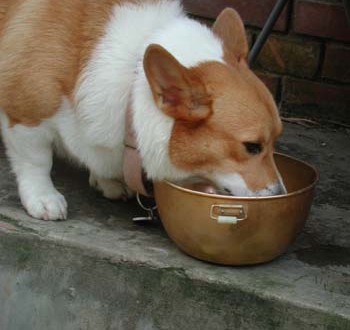 1380945944-3262173820