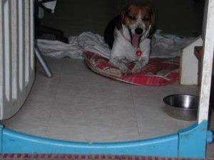 1380945945-3704765972