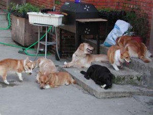 1380945946-2362000689