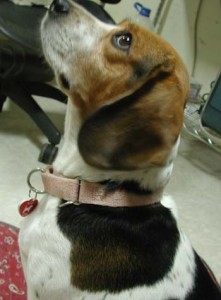 1380945949-134933485