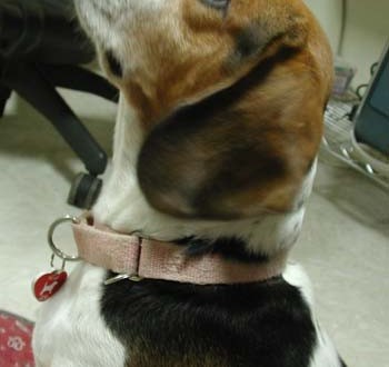 1380945949-134933485