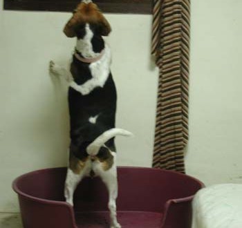 1380945950-2435856589