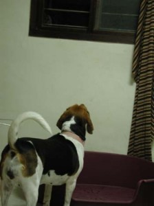 1380945950-4183847764