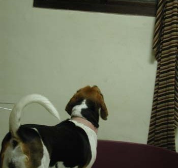 1380945950-4183847764