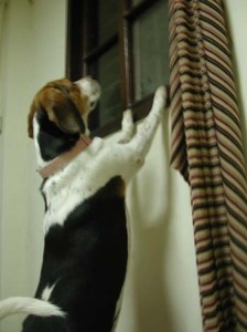 1380945951-1065903778