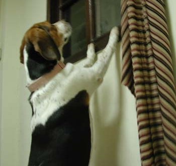 1380945951-1065903778