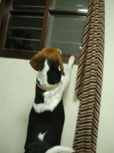 1380945951-1943383545