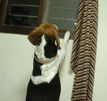 1380945951-1943383545