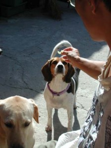 1380945953-1206080989