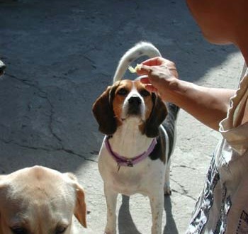 1380945953-1206080989