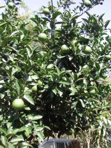 1380945953-2042099583