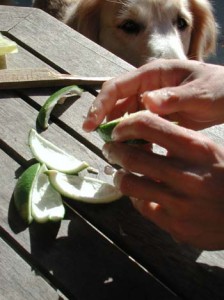 1380945953-2130642854