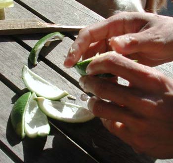 1380945953-2130642854