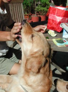 1380945955-2706900459