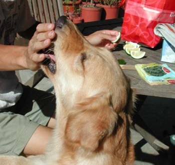 1380945955-2706900459