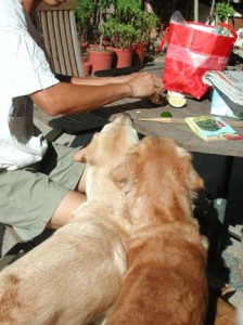 1380945955-4178223783