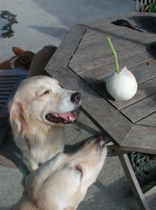 1380945958-107743208