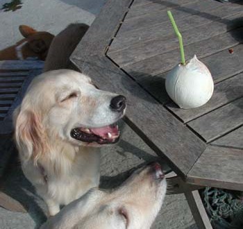 1380945958-107743208