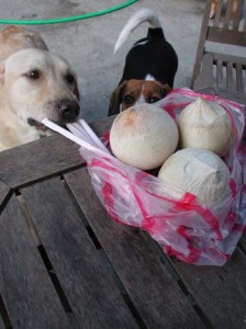 1380945958-3133158436