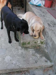 1380945959-3982803800