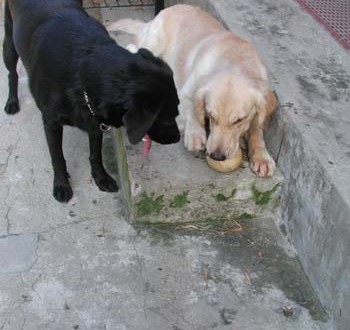 1380945959-3982803800