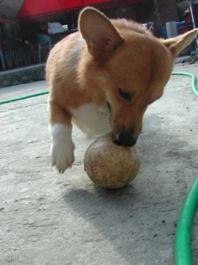 1380945960-1039507106