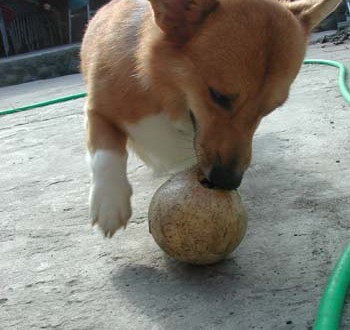 1380945960-1039507106