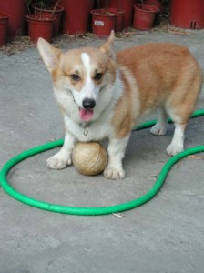 1380945960-350854535