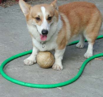 1380945960-350854535