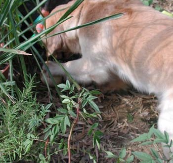 1380945961-1538426057