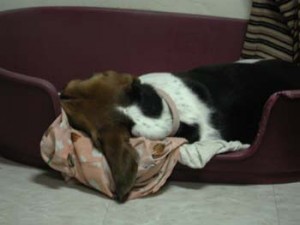 1380945967-2087118771