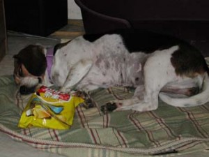 1380945967-3617040579