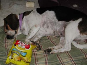 1380945968-3088139036