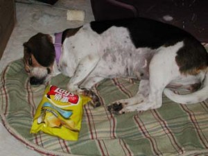 1380945968-3853817833