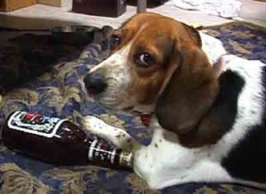 1380945969-1000384143