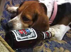 1380945969-4127502125