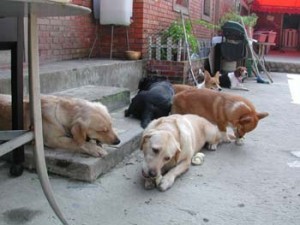 1380945970-2846544500