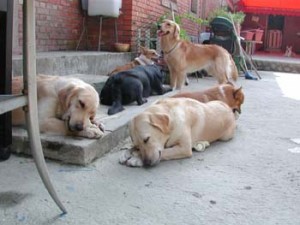 1380945971-2974505845