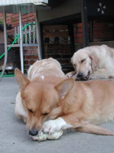 1380945971-4230155818