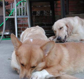 1380945971-4230155818