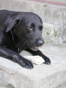 1380945972-2419068221