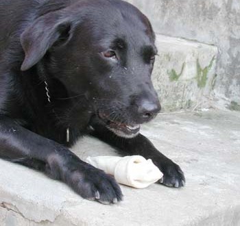 1380945972-2419068221