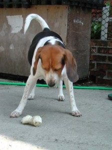 1380945972-2842901308